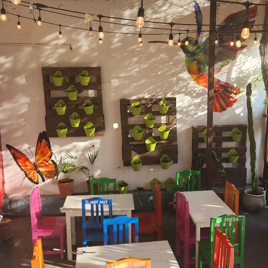 Casa Frida Villa Tulum Esterno foto